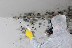 Mold Documentation for Insurance Claims in Beachwood, OH